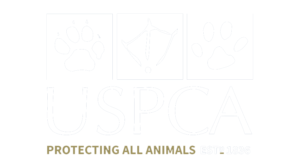 USPCA homepage